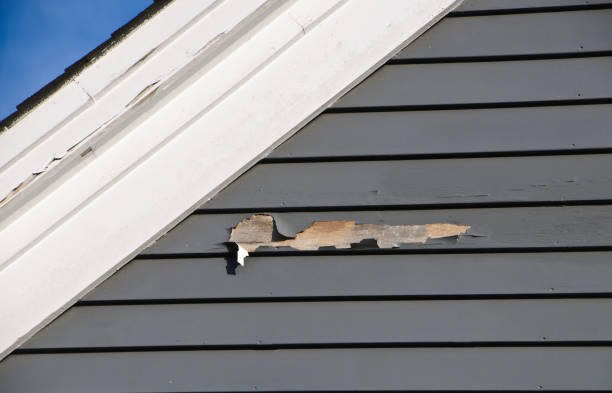 Best Demolition Debris Removal  in Lla Lla, WA