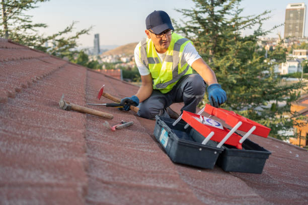 Best Dumpster Rental Services  in Lla Lla, WA
